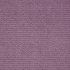 Shaggy lilac